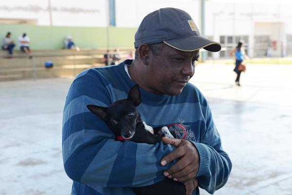 Atendimento gratuito e de qualidade aos pets da população de Campinas