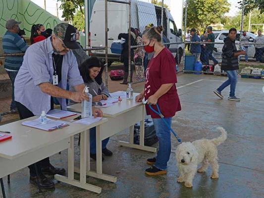 Para realizar o agendamento, o responsável pelo animal deve morar na região, ser maior de 18 anos, apresentar comprovante de endereço no nome do solicitante e documentos pessoais