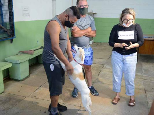 Cachorro pulando de alegria em uma pessoa